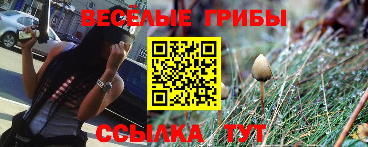 Псилоцибиновые грибы Psilocybine cubensis  Вход с VPN  Видное 