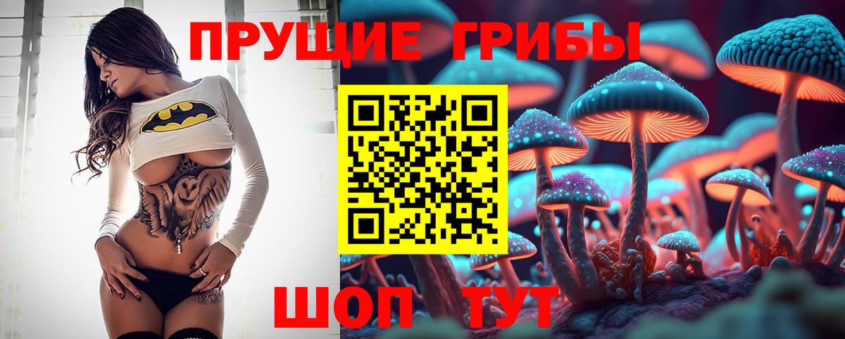 Псилоцибиновые грибы Cubensis Видное